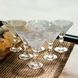 Набір креманок Martini Glass 6 штук по 215 мл HP-17-56 фото 2
